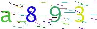 Verify Code