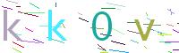 Verify Code