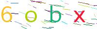 Verify Code