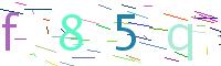 Verify Code